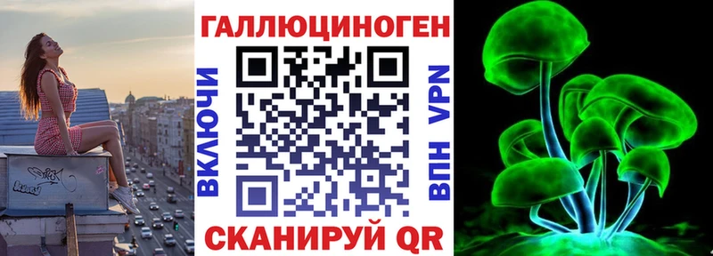 закладка  Усолье  Галлюциногенные грибы Cubensis 